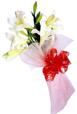 China Lilies China,,China:Best Regards